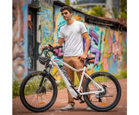 VALK Electric Bike eBike Motorized Bicycle Battery Mountain eMTB 36V 250W 26Inch
