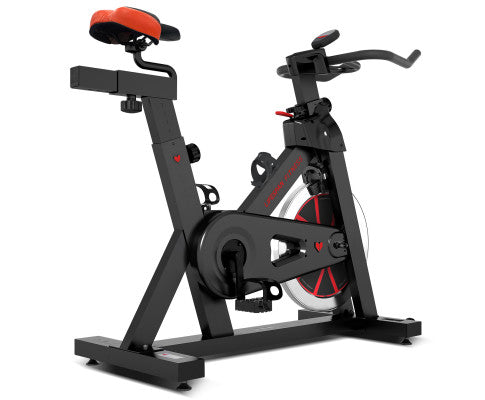 Lifespan Fitness SM-800 Lifespan Fitness Commercial Spin Bike
